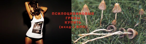 прущие крисы Костерёво